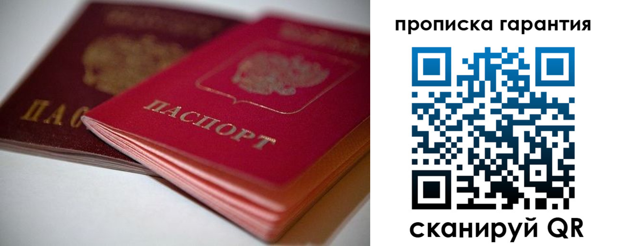 прописка в Сланцах
